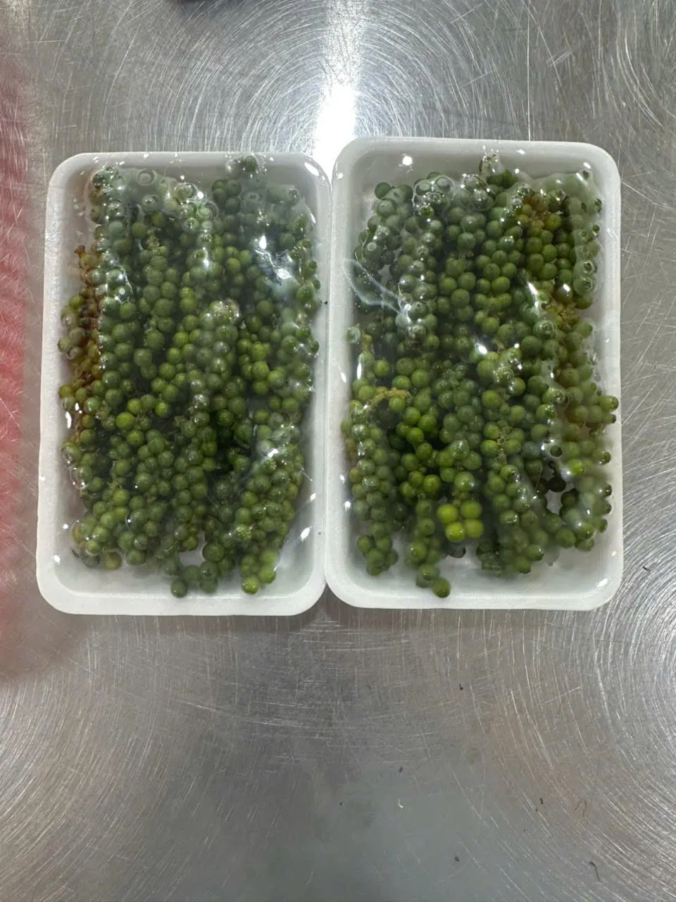 Vùng trồng & nhà xưởng BINGO tại Long Phước, Đồng Nai
